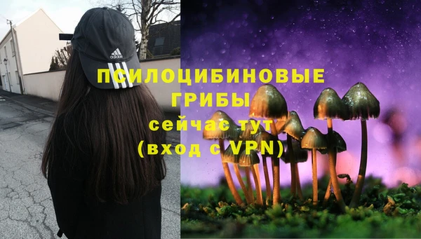 каннабис Алексин